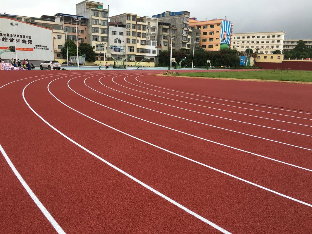 黔南布依族苗族自治州塑胶跑道塑胶跑道材料 - 排名